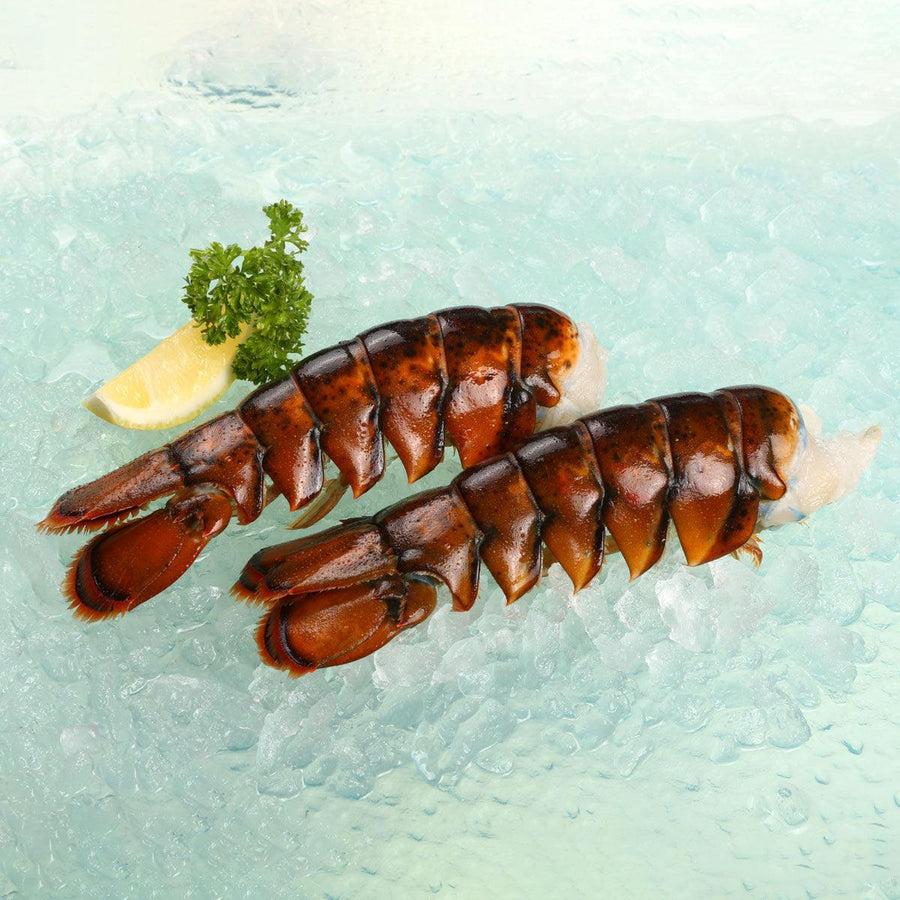 COZY HARBOR Maine Frozen Lobster Tails (212g)